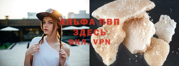 индика Вязники
