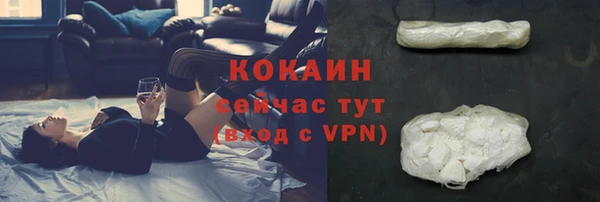 прущие грибы Сосновка