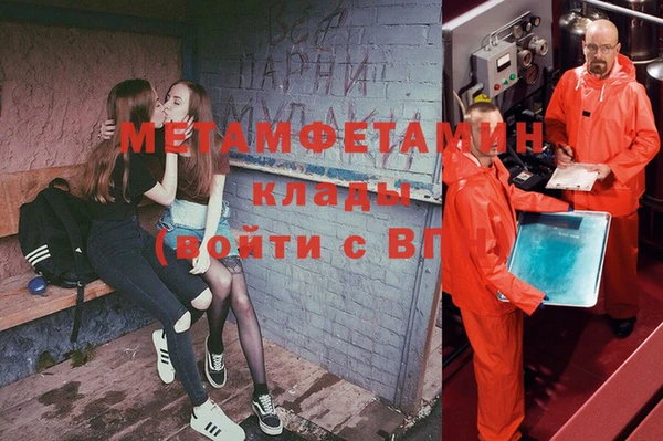 прущие грибы Сосновка