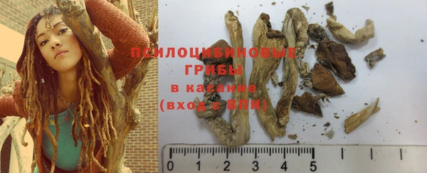 индика Вязники