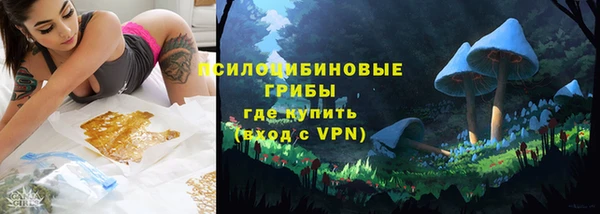 индика Вязники